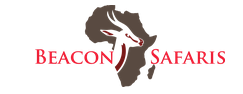Beacon Safaris