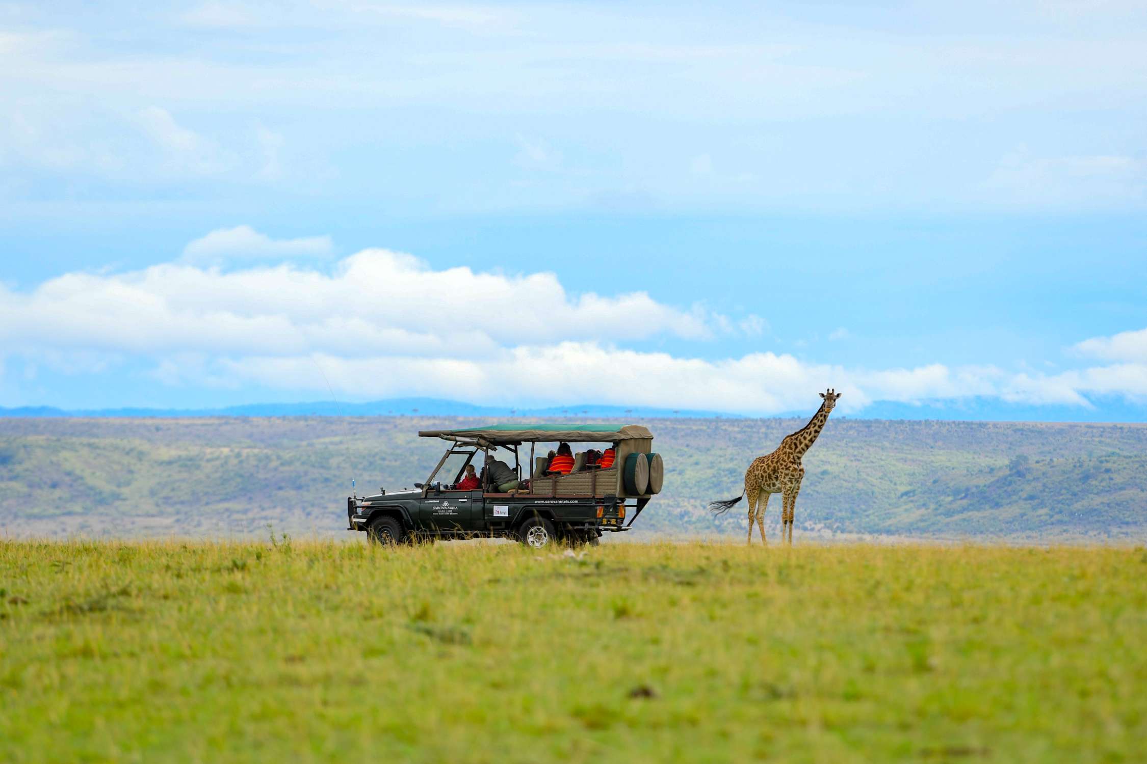 Tours And Travel