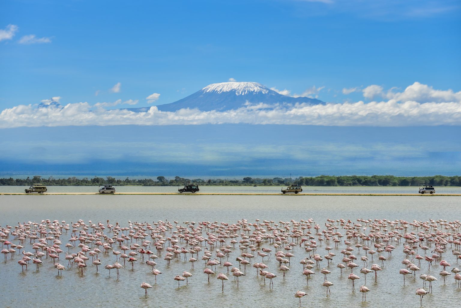 Inviting the world in, one frame at a time. (Tours And Travel photography, image 2)